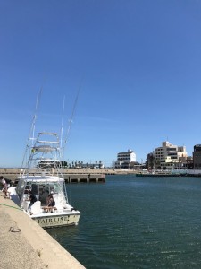 IMG_2980