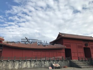 IMG_4704