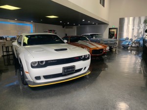 IMG_5624f