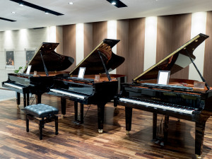 grand-piano-salon